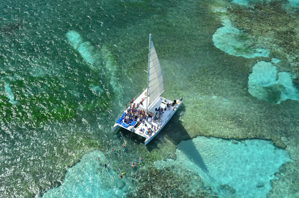 Catamaran & Dolphin Swim Adventure