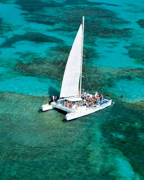 Catamaran & Dolphin Swim Adventure