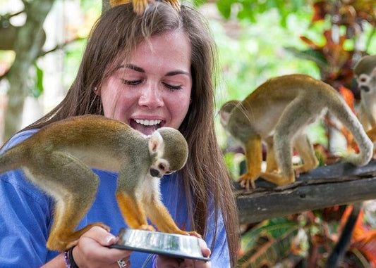 Monkeyland and Plantation